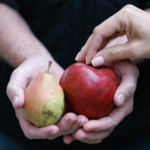 pear and apple in people's hands